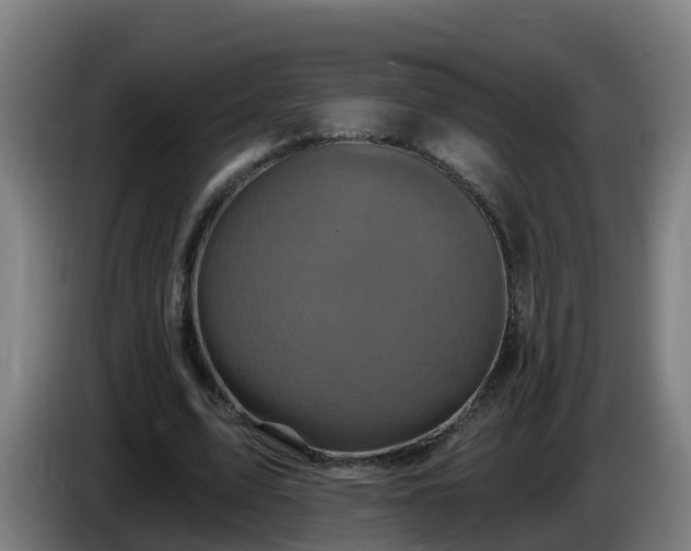 X0000086020583200703301034