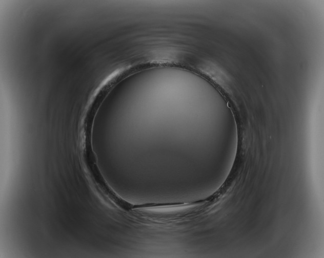 X0000086020584200703301034