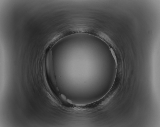 X0000086020585200703301034
