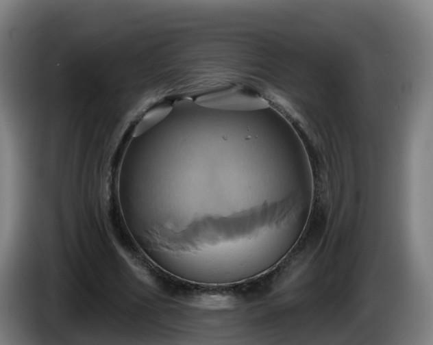X0000086020586200703301034