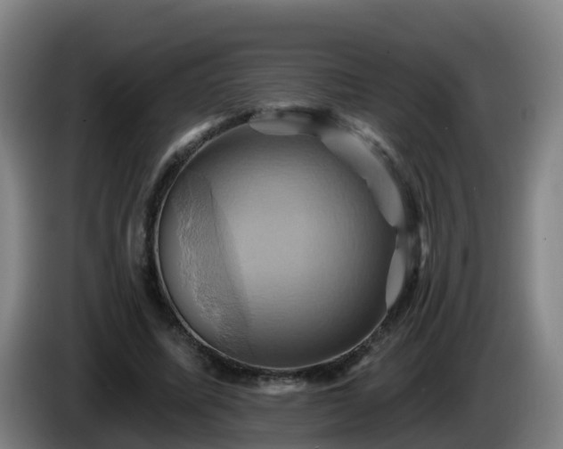 X0000086020587200703301034