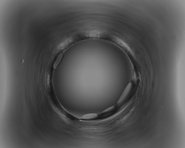 X0000086020589200703301034