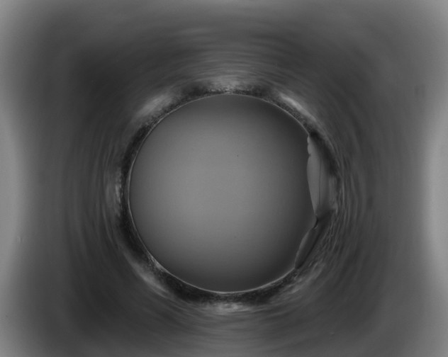 X0000086020590200703301034
