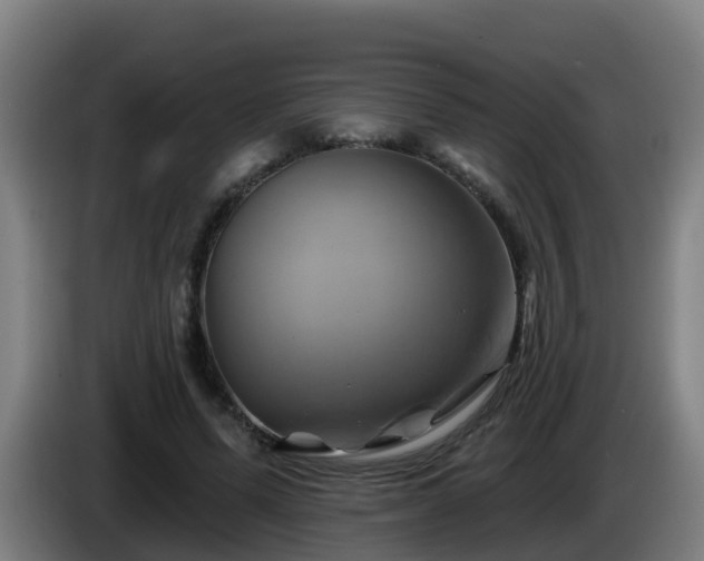 X0000086020591200703301034