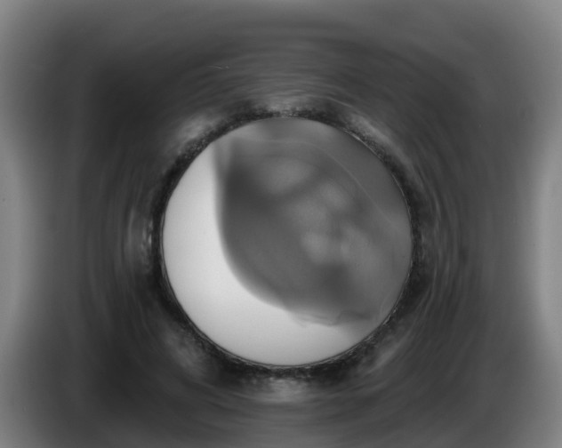 X0000086020592200703301034
