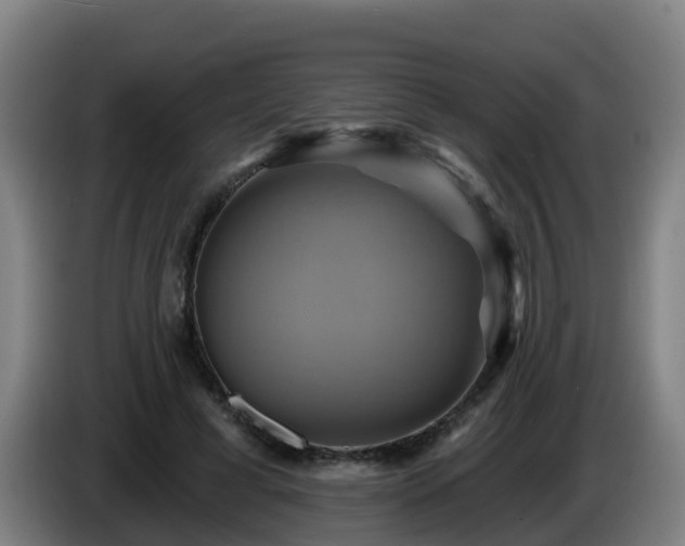 X0000086020593200703301034