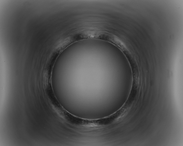 X0000086020594200703301034