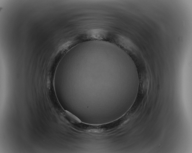 X0000086020595200703301034