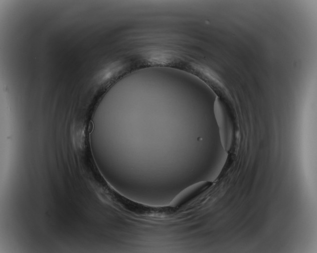 X0000086020596200703301034
