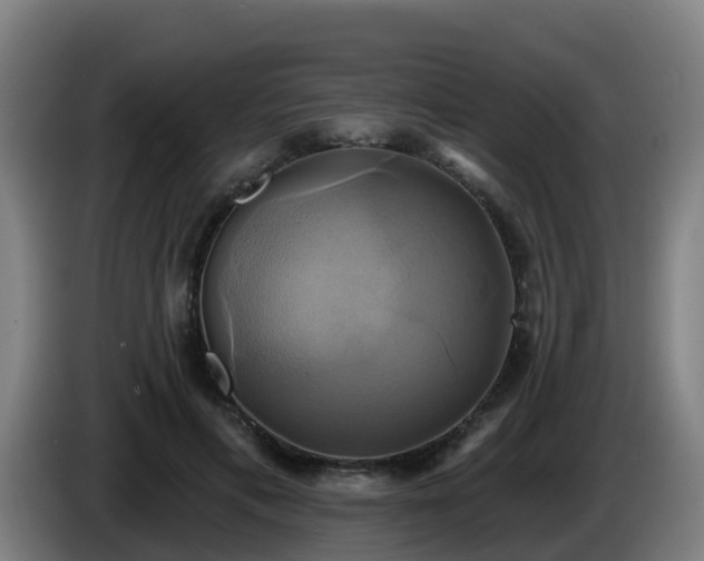 X0000086020597200703301034