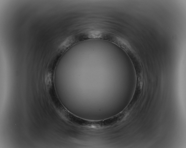 X0000086020598200703301034