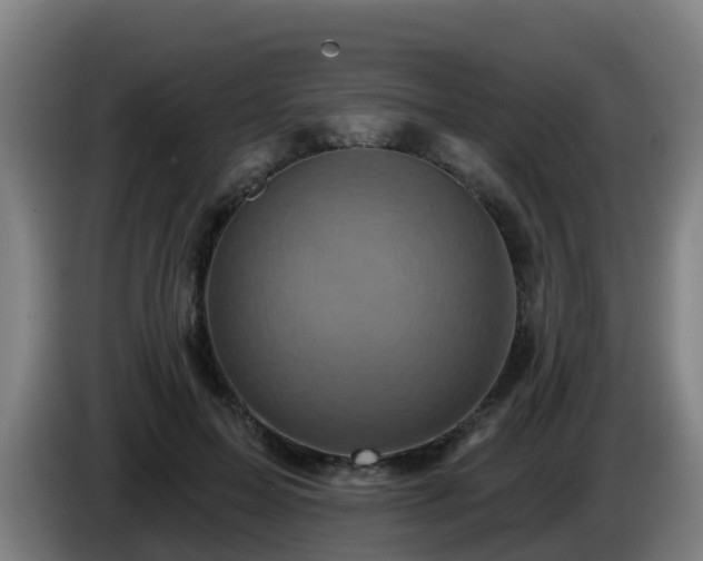 X0000086020599200703301034