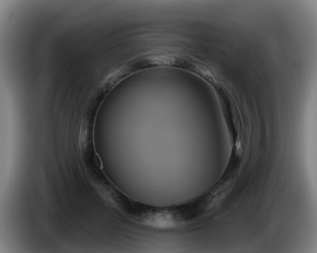 X0000086020600200703301034