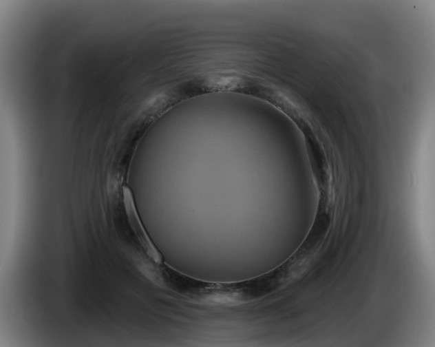 X0000086020601200703301034