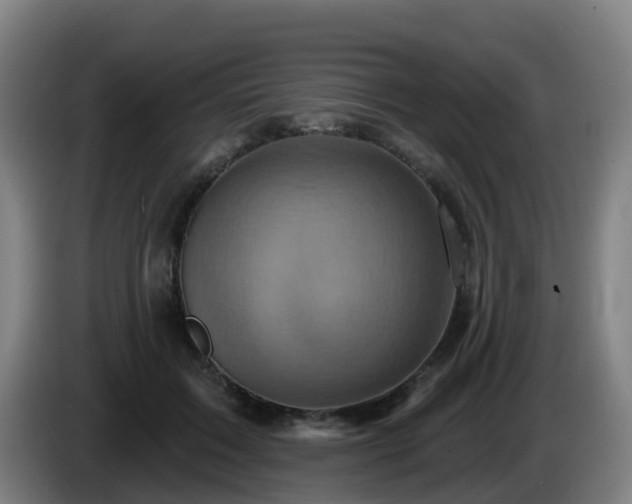 X0000086020603200703301034