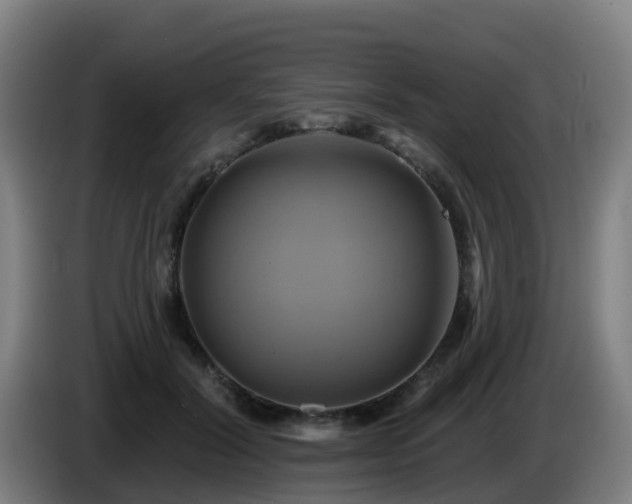 X0000086020604200703301034