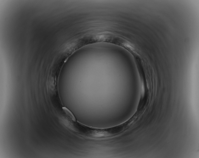 X0000086020605200703301034