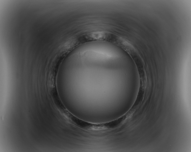 X0000086020606200703301034