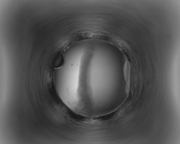 X0000086020607200703301034
