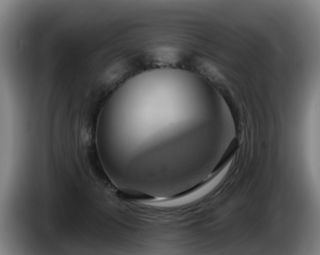 X0000086020608200703301034