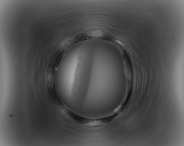 X0000086020609200703301034