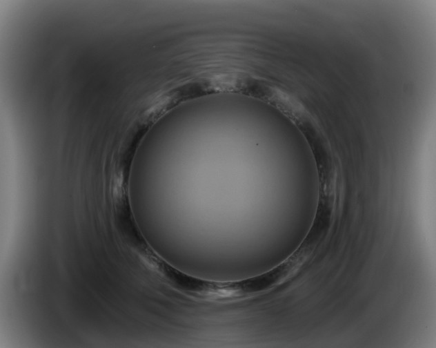 X0000086020610200703301034