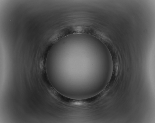 X0000086020611200703301034