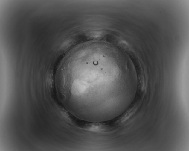 X0000086020612200703301034