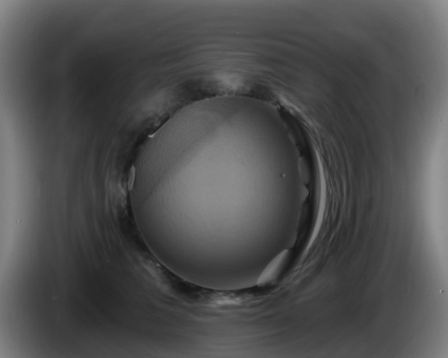 X0000086020613200703301034