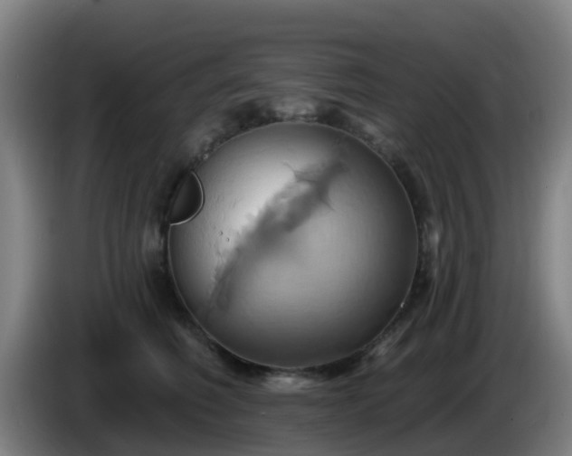 X0000086020614200703301034