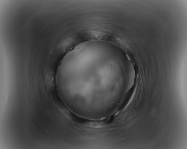 X0000086020615200703301034