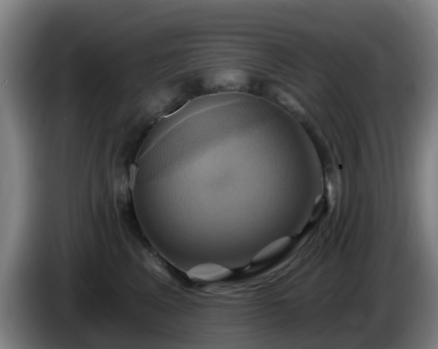 X0000086020617200703301034