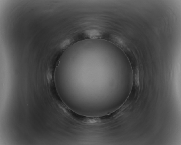 X0000086020618200703301034