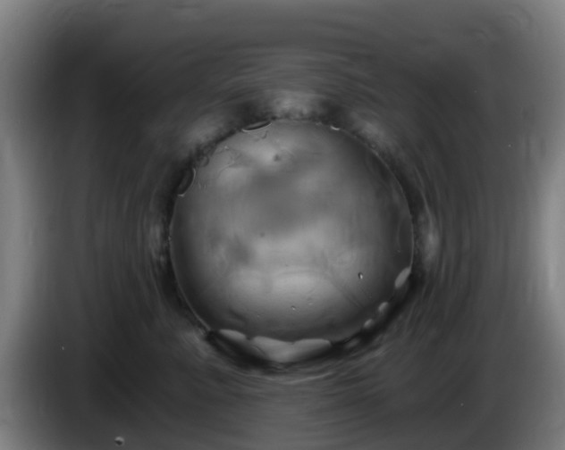 X0000086020619200703301034