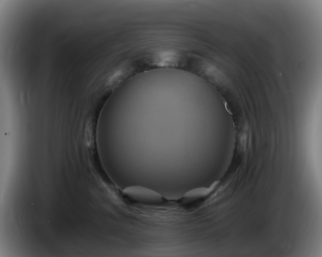 X0000086020620200703301034