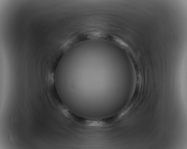 X0000086020621200703301034