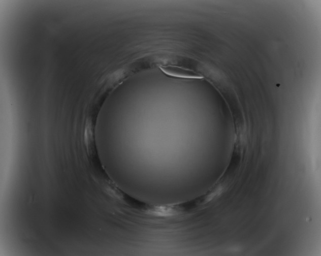 X0000086020623200703301033