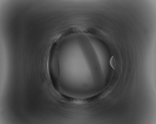 X0000086020624200703301033