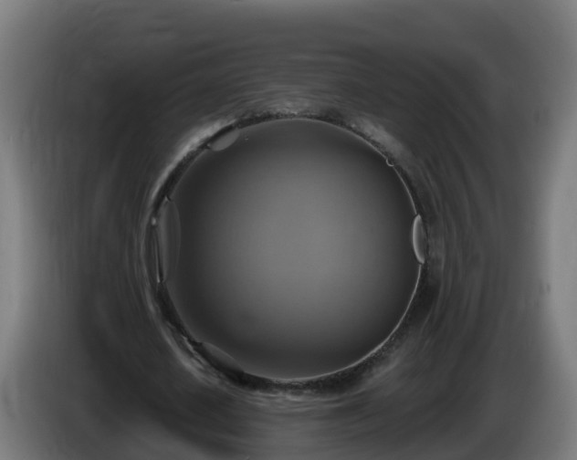 X0000086020626200703301033