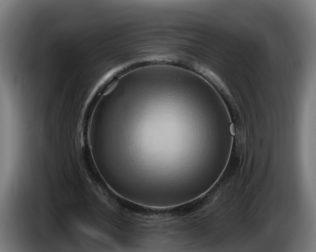 X0000086020628200703301033