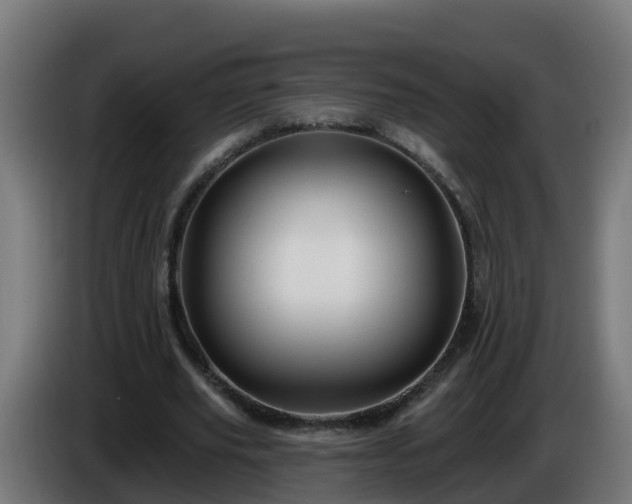 X0000086020629200703301033