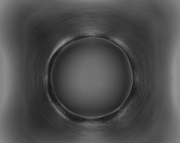X0000086020630200703301033