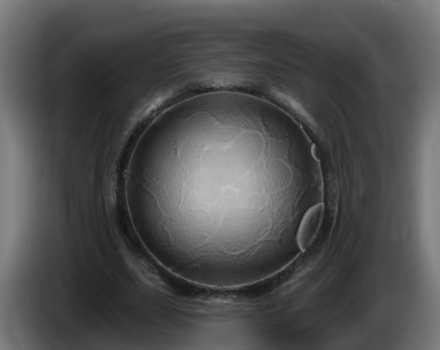 X0000086020631200703301033