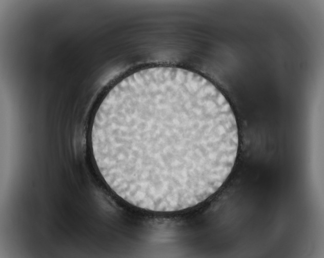 X0000086020632200703301033