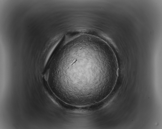 X0000086020633200703301033