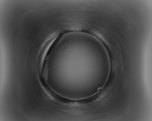 X0000086020634200703301033