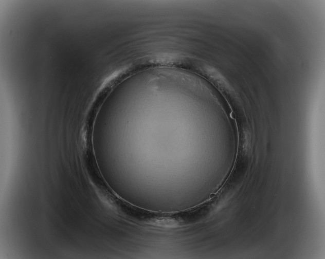 X0000086020636200703301033