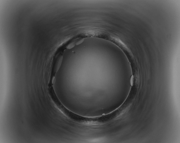 X0000086020637200703301033