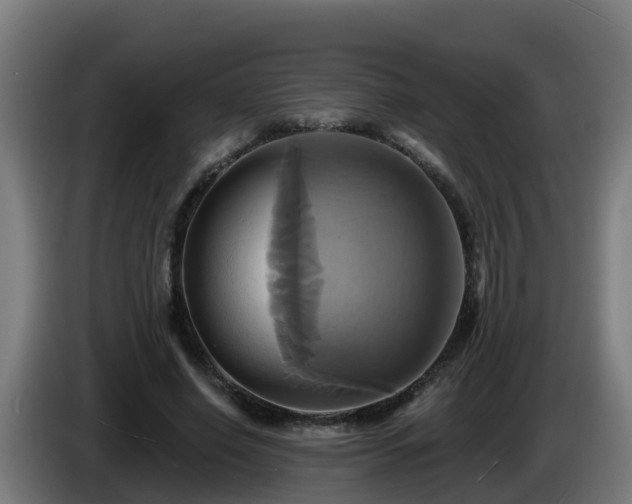 X0000086020638200703301033