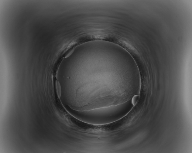 X0000086020639200703301033